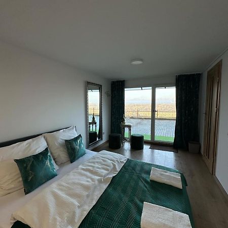 Apartament Bena Ze Zjawiskowym Tarasem Widokowym Chełmno Dış mekan fotoğraf